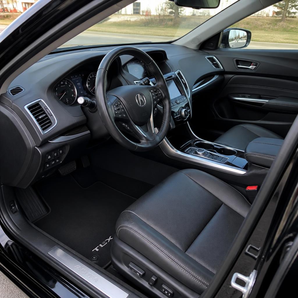 SUV — Deep Clean & Condition